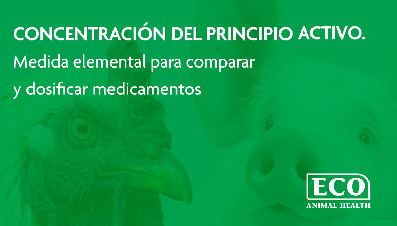 ECO Animal Health de México, S. de . de .